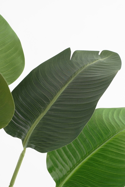 Kunstplant Mica Bananen boom in plastic pot 180x30cm