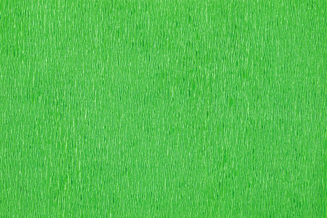 Crêpepapier Folia 250x50cm nr140 kerstgroe