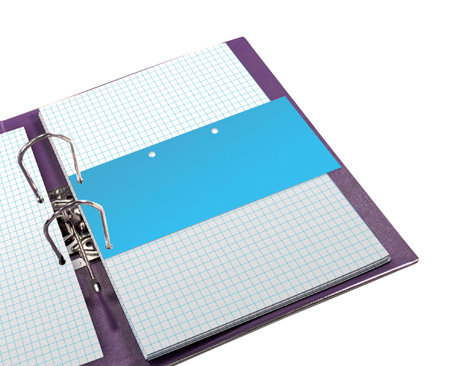Dividers Neutral Elba Duo 240X105 Manilla 160G Blue