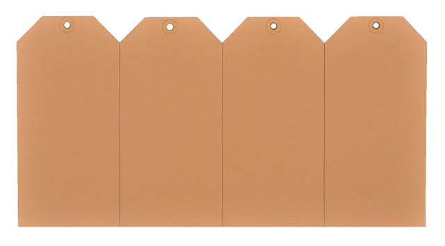 Label karton nr9 200gr 75x150mm chamois 1000 stuks