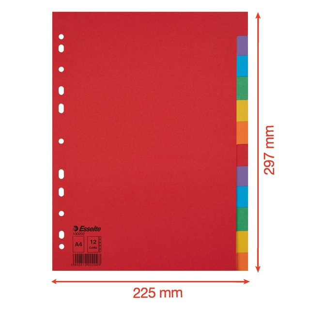 Divider Esselte Economy A4 12 tabs 11-rings cardboard multicolor