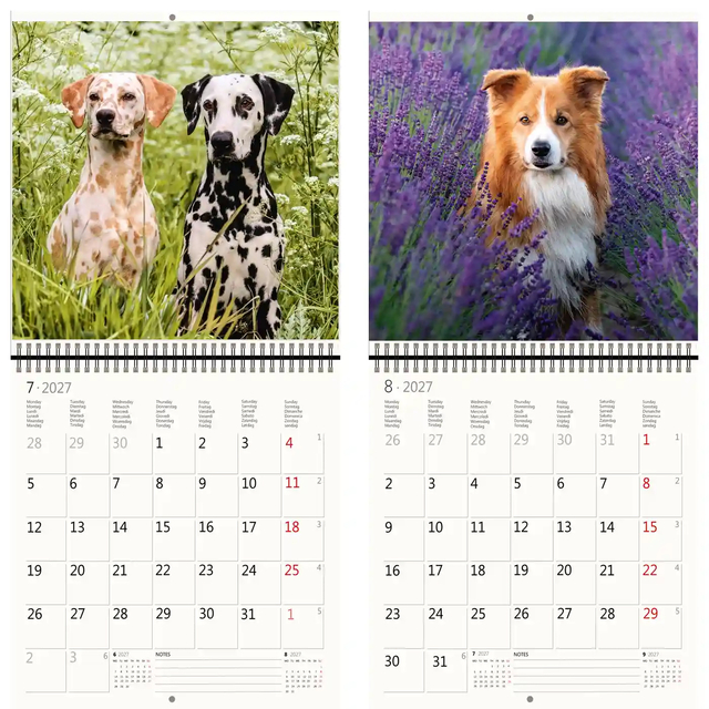 KALENDER 2026 30X30CM HONDEN