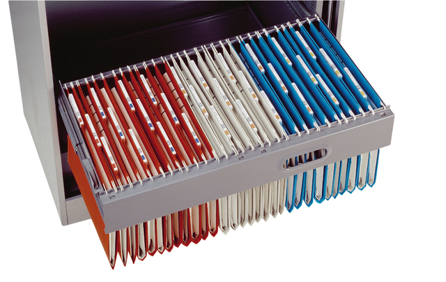 HANGING FILE FOR SHELF: RED: SEC(38)