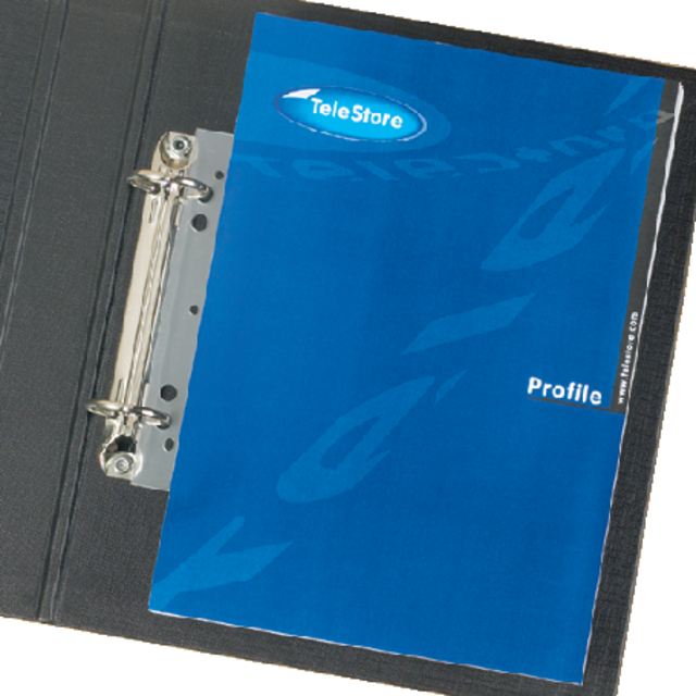 50x 3L filing strips A5, 125mm permanent adhesive