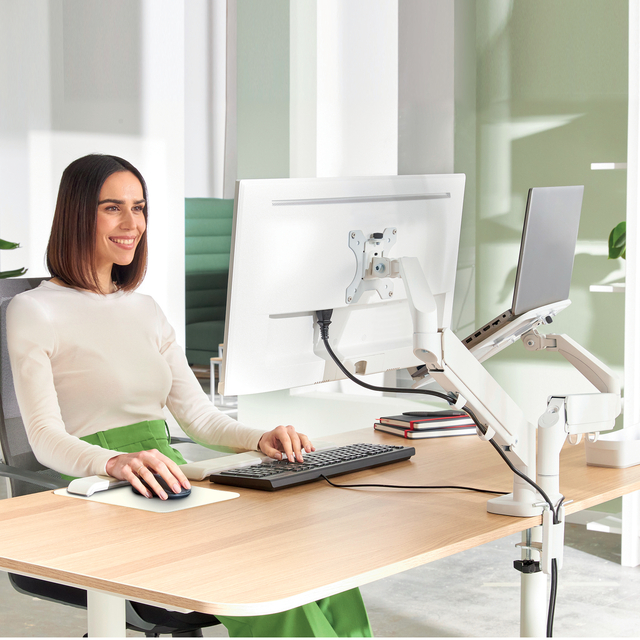 Monitor- en laptoparm Leitz Ergo ruimtebesparend dubbel grijs