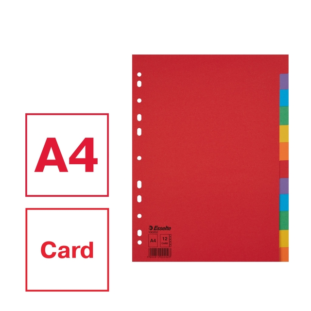 Divider Esselte Economy A4 12 tabs 11-rings cardboard multicolor