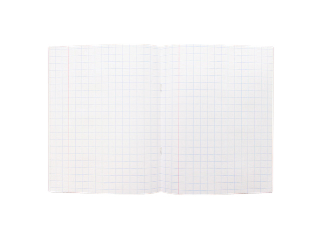 Schrift Kangaro A5 ruit 10mm 80 pagina's 60 gram assorti pak à 10 stuks