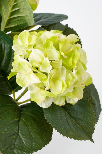 Kunstplant Mica Hortensia in pot groen Ø35 40c