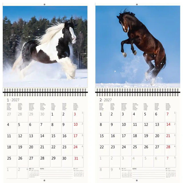 KALENDER 2026 30X30CM PAARDEN