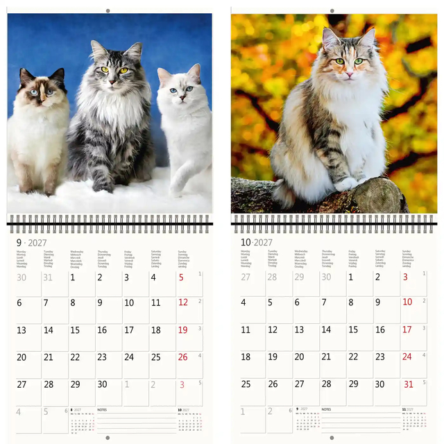KALENDER 2026 30X30CM KATTEN