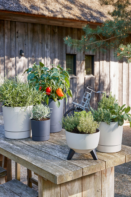 Plantenpot Mica Coco met schotel rond hoogte 23,5 Ø22,5 cm beige