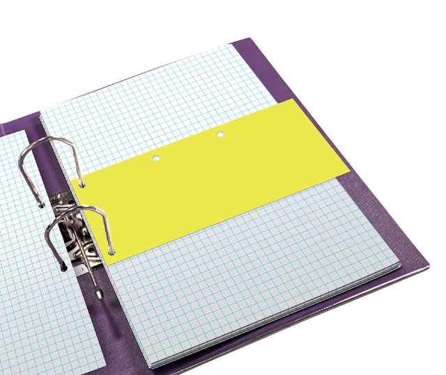 Dividers Neutral Elba Duo 240X105 Manilla 160G Yellow