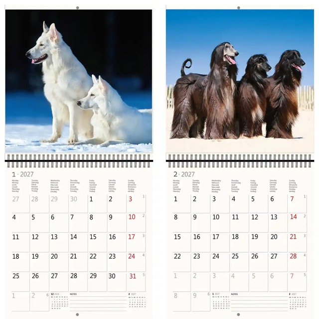 KALENDER 2026 30X30CM HONDEN