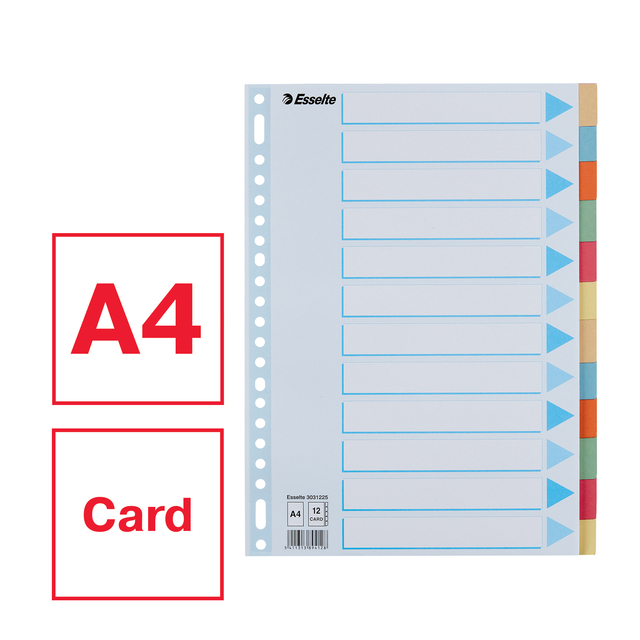 Divider Esselte Premium A4 12 tabs 23-rings cardboard multicolor