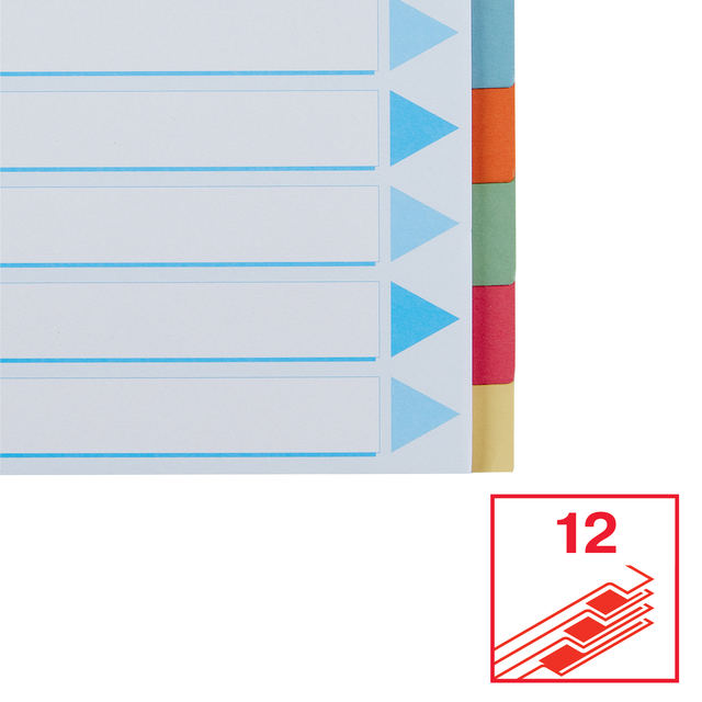 Divider Esselte Premium A4 12 tabs 23-rings cardboard multicolor