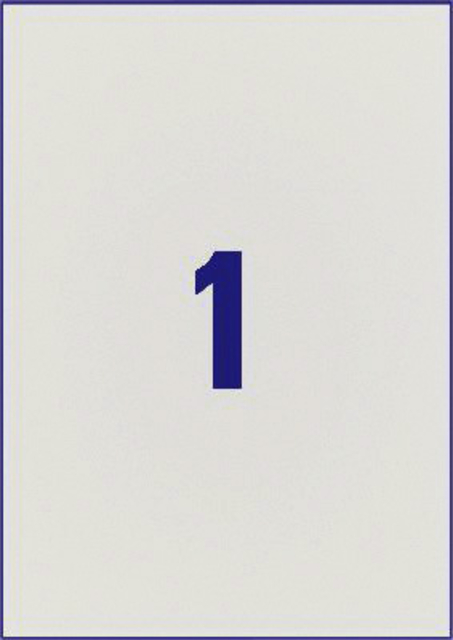 Etiket Avery L6013-20 210x297mm zilver 20stuks