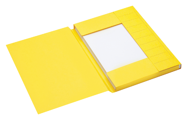 Secolor A4 Document Folder yellow