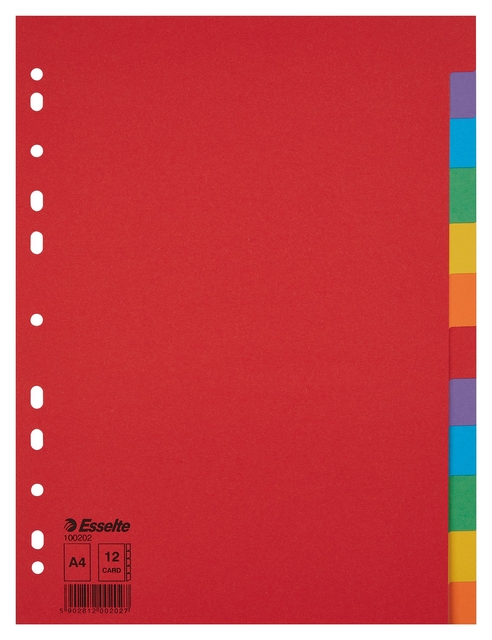 Divider Esselte Economy A4 12 tabs 11-rings cardboard multicolor