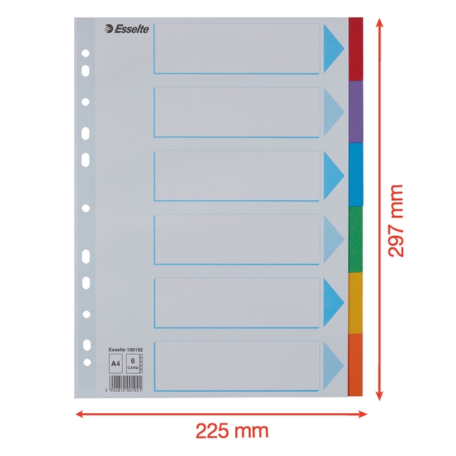 Divider Esselte Standaard A4 6 tabs 11-rings section description cardboard multicolor
