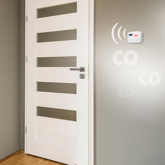 Koolmonoxidemelder Alecto 10 jaar sensor en display COA3910 wit