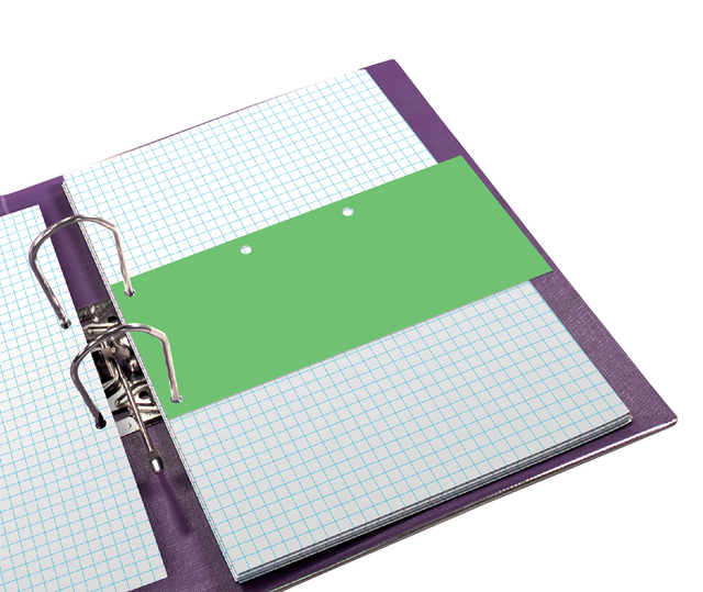 ELBA Divider neutral "DUO" 240X105, punching on the narrow and long side, manila 160 g/m², green, Pack of 6