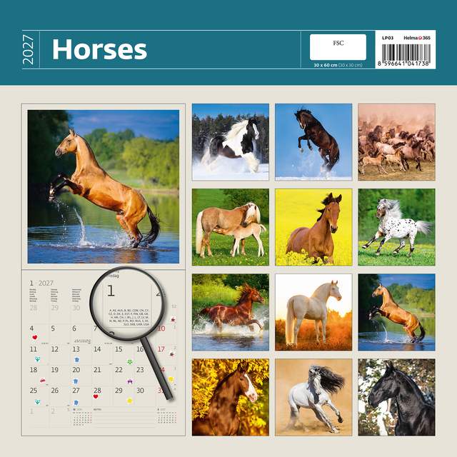 KALENDER 2026 30X30CM PAARDEN