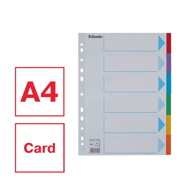 Divider Esselte Standaard A4 6 tabs 11-rings section description cardboard multicolor