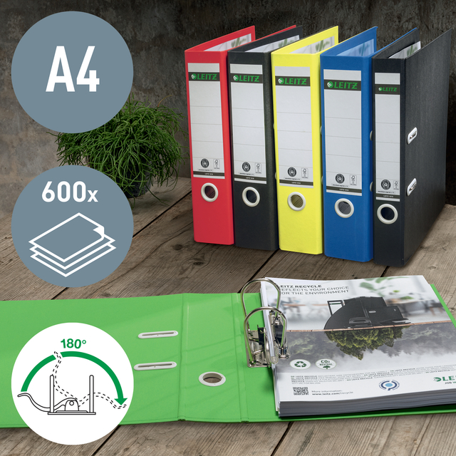 Ordner Leitz 180° Recycle 80 mm karton A4 groen