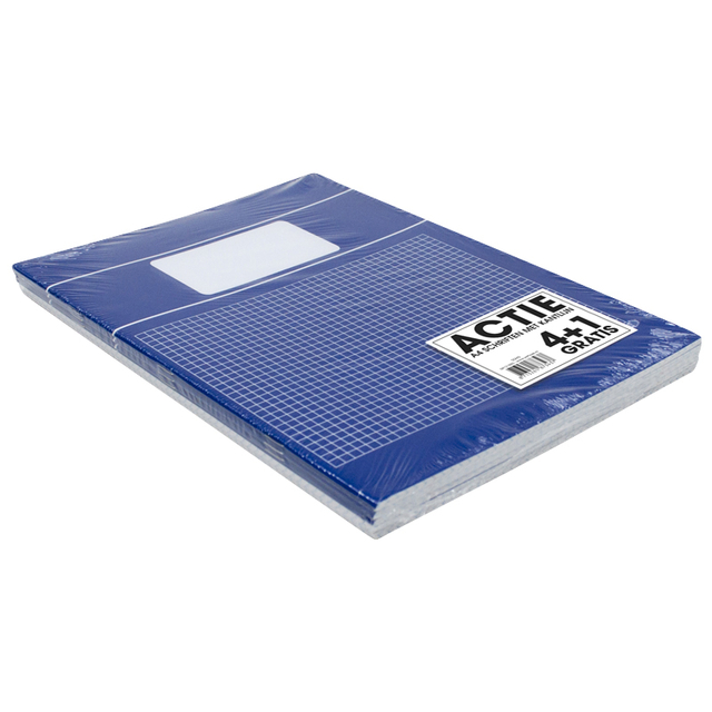 Schrift A4 ruit 5x5mm 80 pagina's 60gr assorti 5 stuks