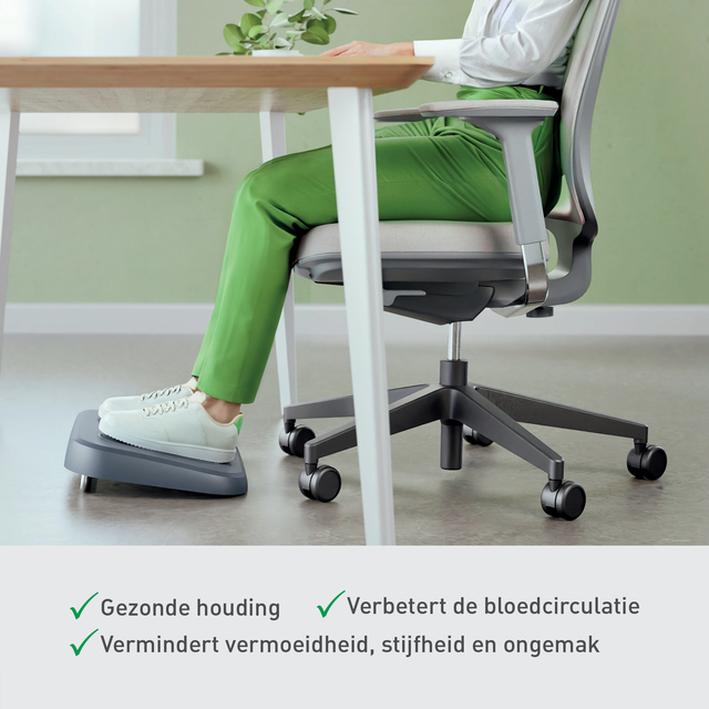 Voetensteun Leitz Ergo verstelbaar gerecycled grijs