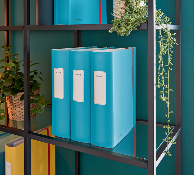 Lever arch file Leitz active Cosy 82mm PP A4 serene blue