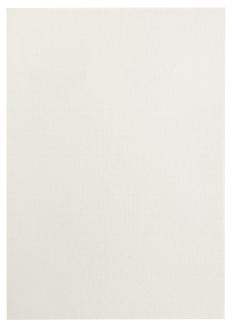 Kopieerpapier Papicolor A4 100gr 12 vel anjerwit