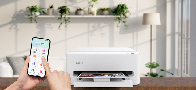 Multifunctional inktjet printer Canon PIXMA TS4150i