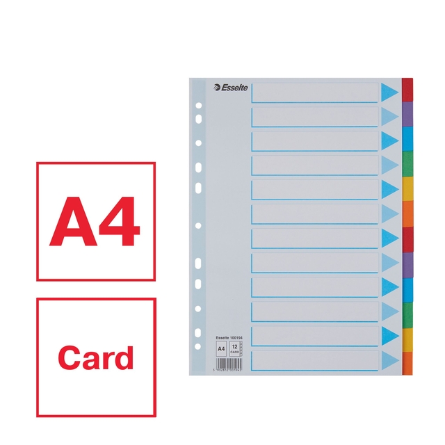Divider Esselte Standaard A4 12 tabs 11-rings section description cardboard multicolor