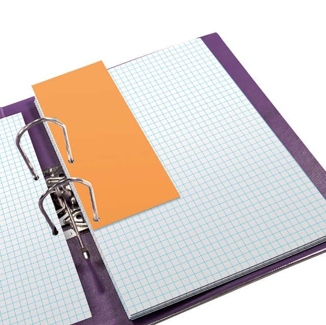 ELBA Dividers neutral "DUO" 240X105,punching on the narrow and long side, manila 160 g/m², orange, Pack of 6