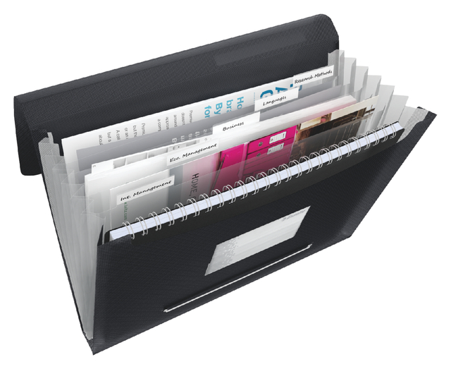 Document wallet Esselte Vivida A4 6 compartments PP black