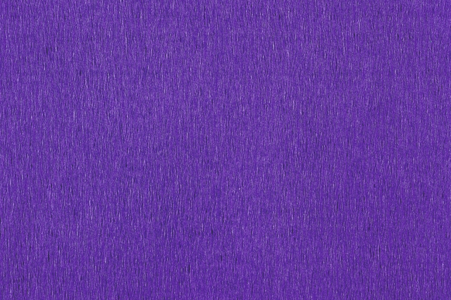 Crêpepapier Folia 250x50cm nr122 donker viole