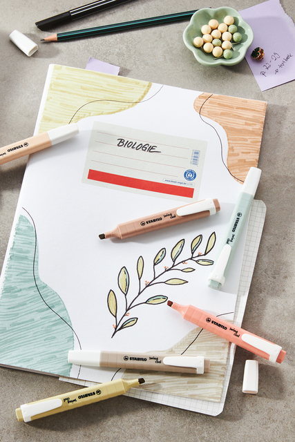 Markeerstift STABILO Swing cool nature colors warmgrijs