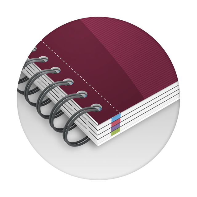 Collegeblok Oxford Office Essentials Europeanbook A4+ 4-gaats 120 pagina's assorti