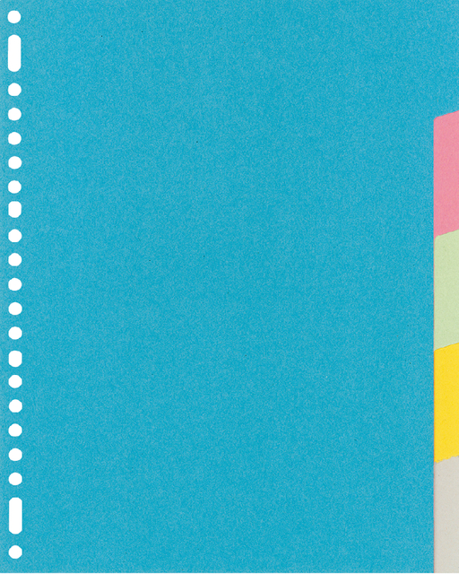 Dividers Kangaro A4 cardboard 220grs 23 holes 5 tabs assorted