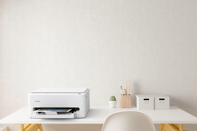 Multifunctional inktjet printer Canon PIXMA TS4150i