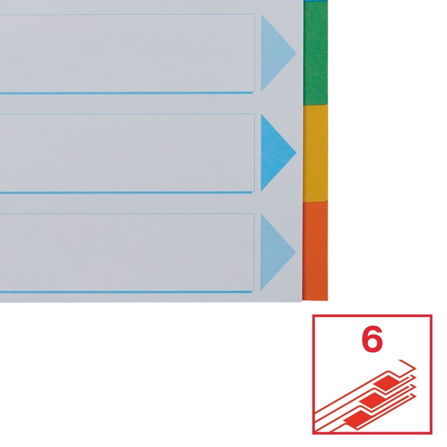 Divider Esselte Standaard A4 6 tabs 11-rings section description cardboard multicolor