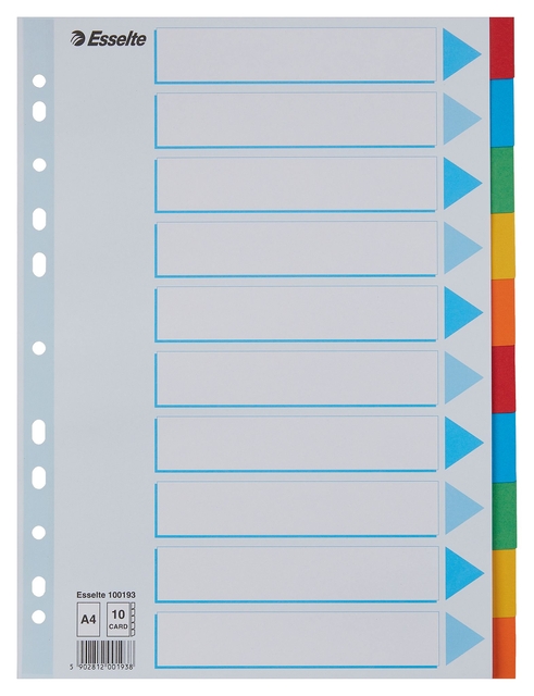 Divider Esselte Standaard A4 10 tabs 11-rings section description cardboard multicolor