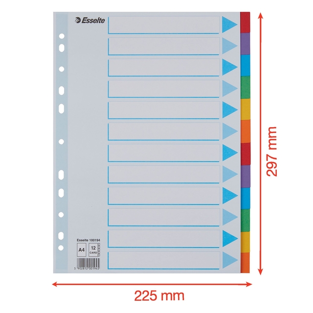 Divider Esselte Standaard A4 12 tabs 11-rings section description cardboard multicolor