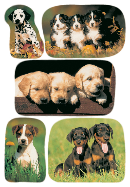 DECOR stickers photos of puppies 3 sheets