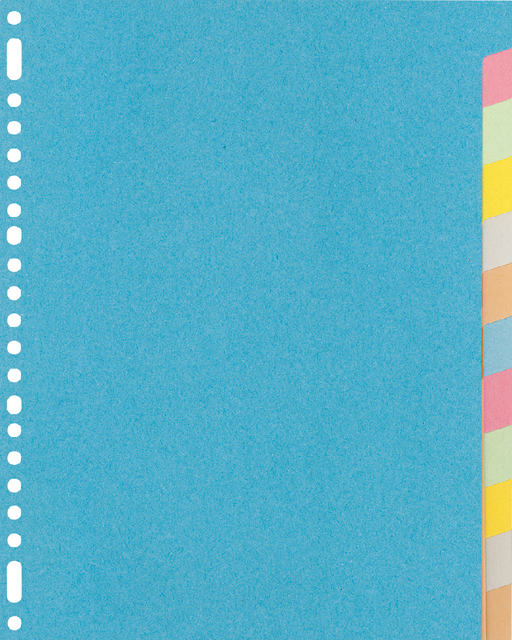 Dividers Kangaro A4 cardboard 220grs 23 holes 12 tabs assorted