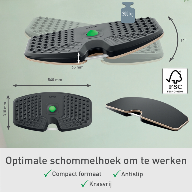 Balansbord Leitz Ergo actief