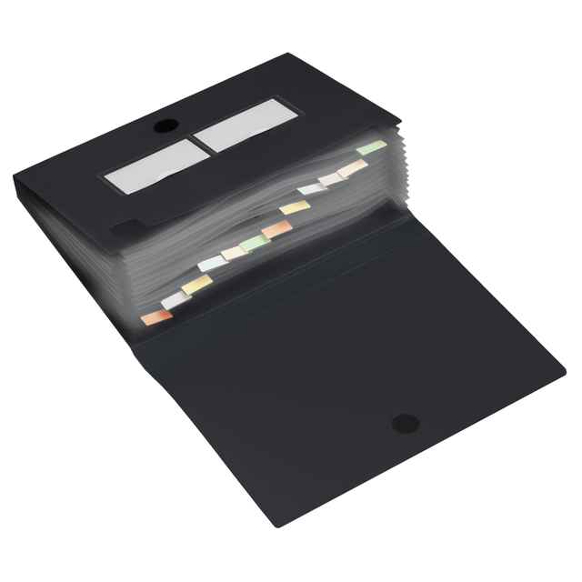 Expanding file A4 HF2 12 tabs, black