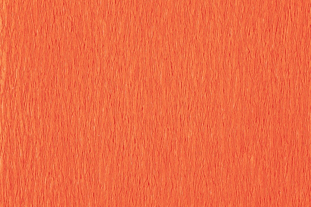 Crêpepapier Folia 50x200cm Basis 10 kleure