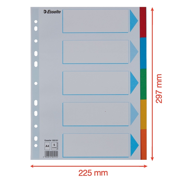 Divider Esselte Standaard A4 5 tabs 11-rings section description cardboard multicolor